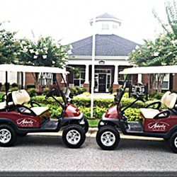 Corporate Golf Carts