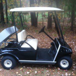 Commercial Street Legal Golf Cart