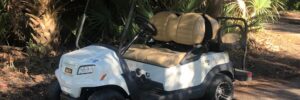 Metallic Glacier White Club Car Onward