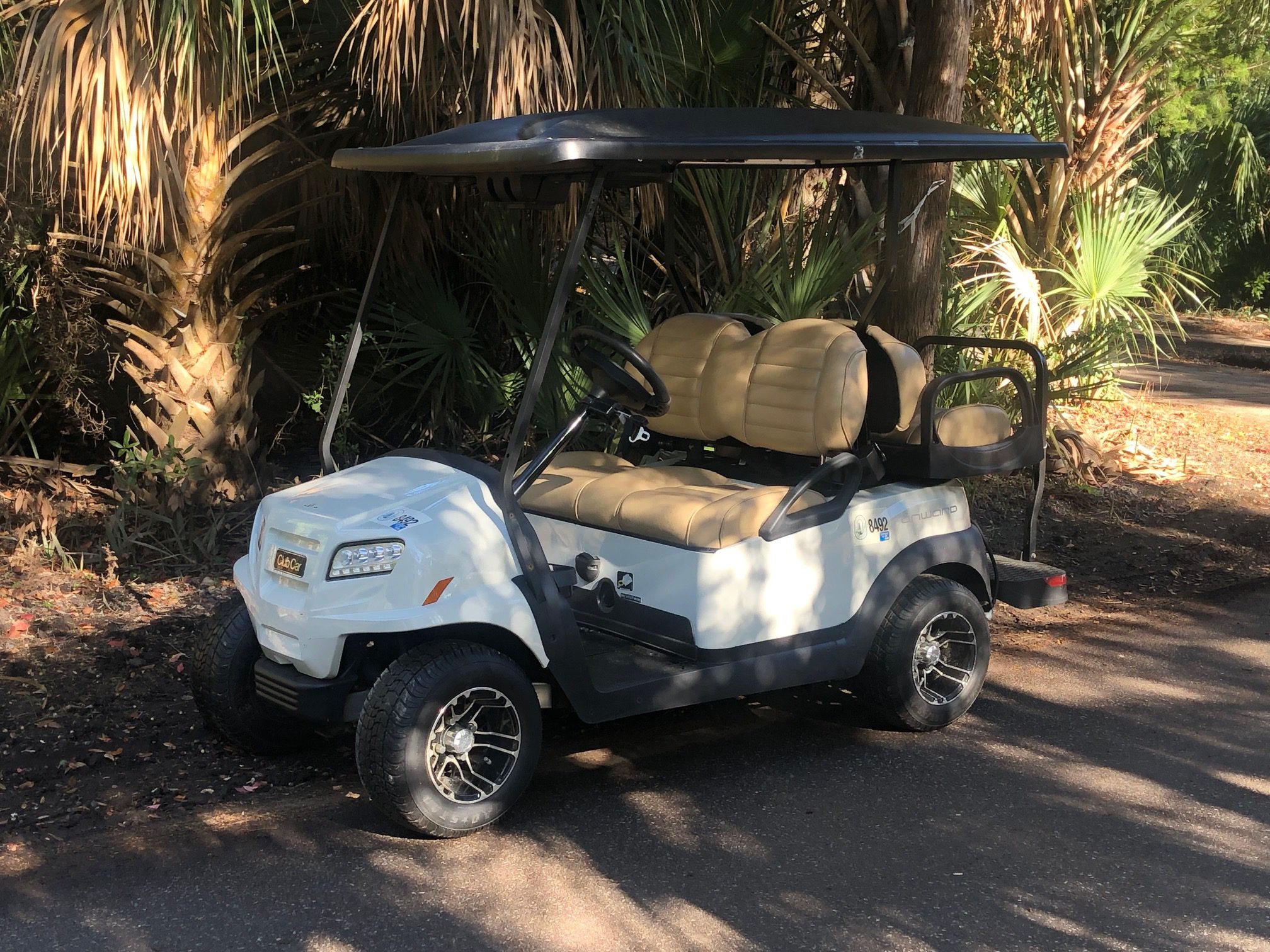 Metallic Glacier White Club Car Onward