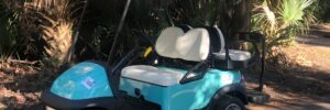 Teal Club Car Precedent