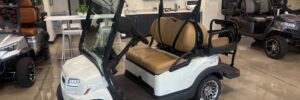 Metallic Glacier White Club Car Onward LSV