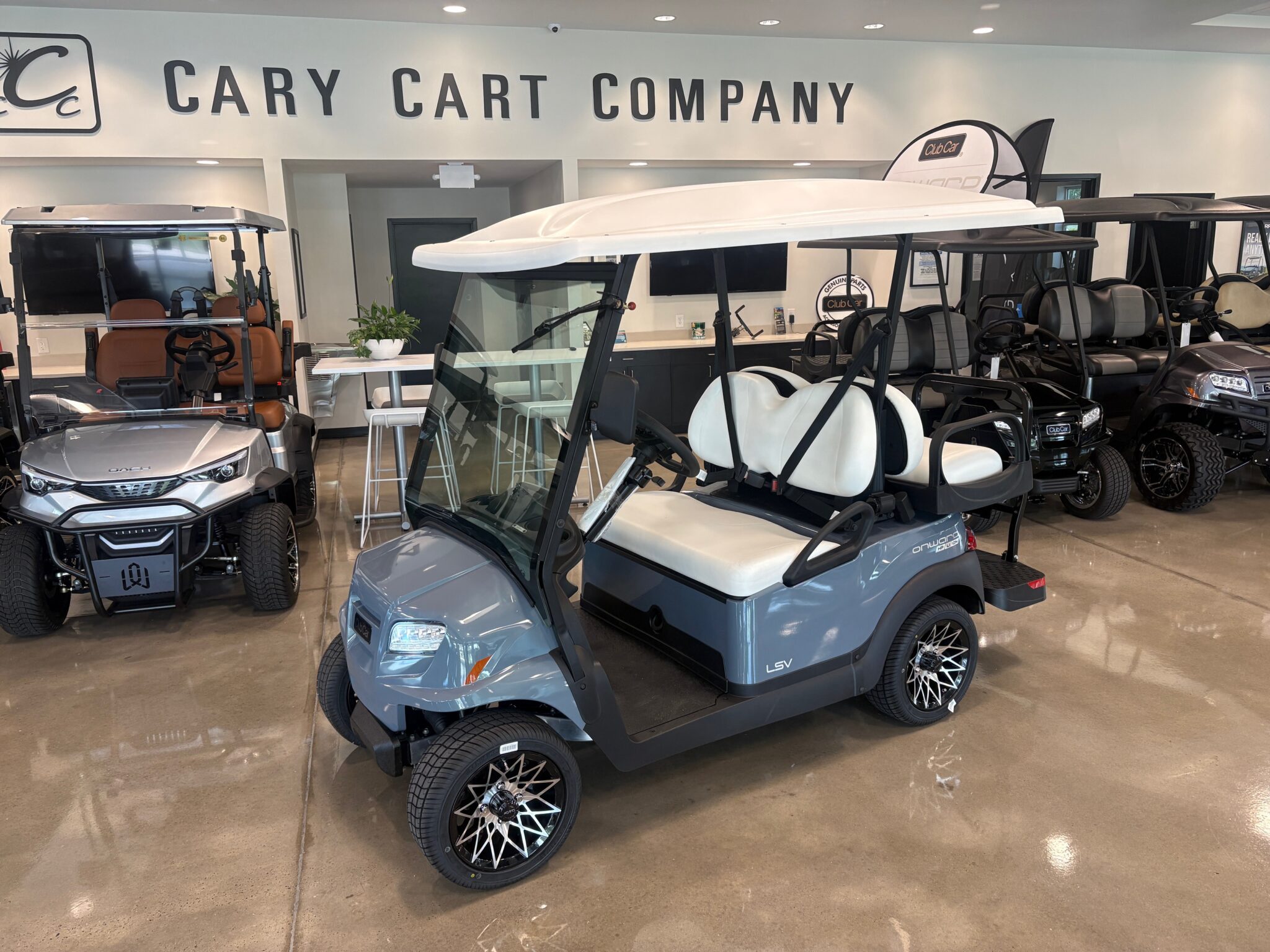 Pearl Mist Gray Club Car Onward LSV