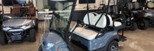 Pearl Mist Gray Club Car Onward LSV