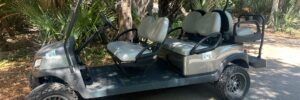 Metallic Platinum Club Car Tempo