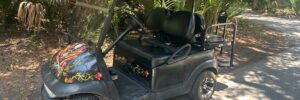Black Club Car Precedent Ed Hardy