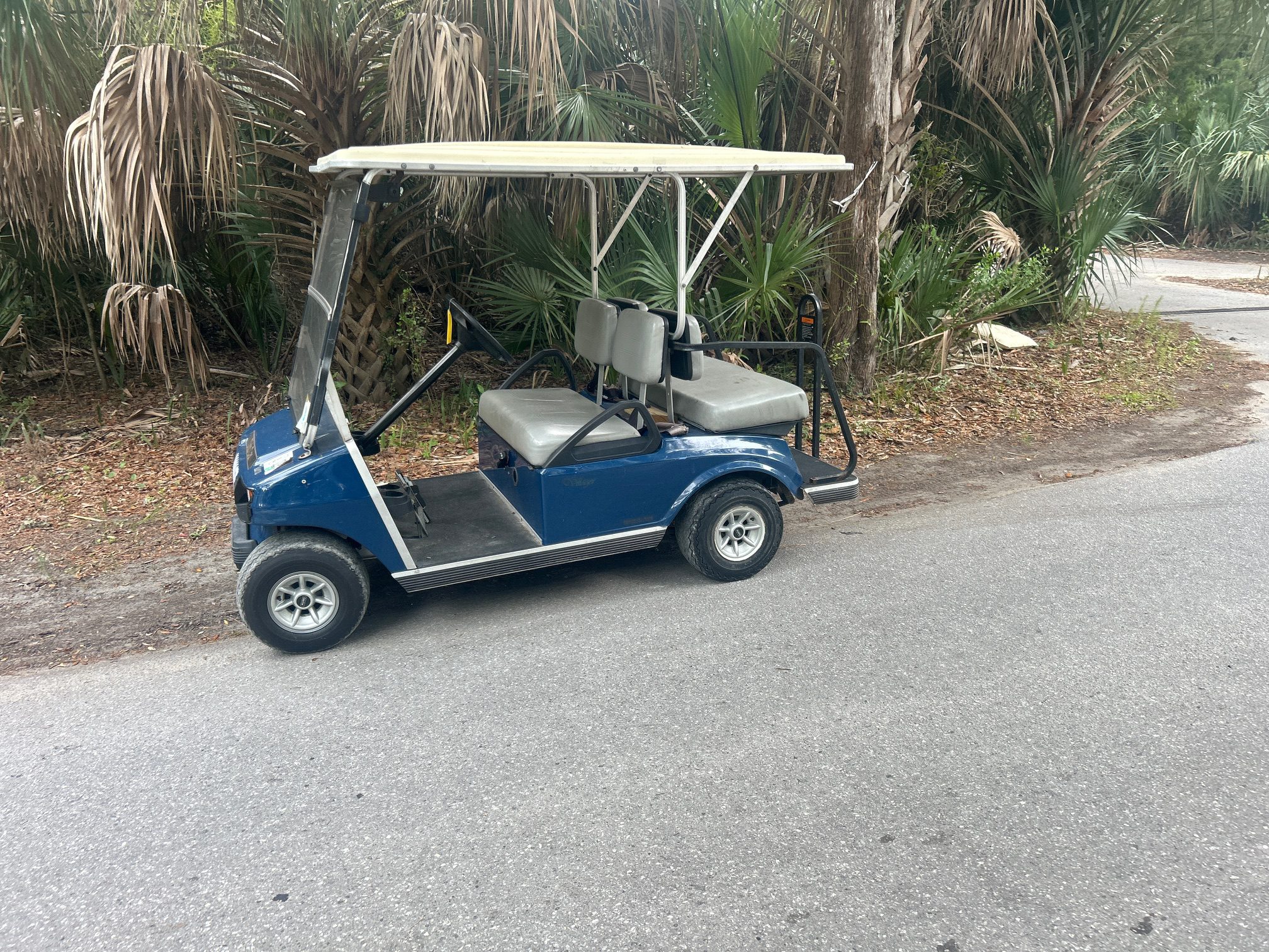 Blue Club Car DS