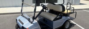 Blue Gray Club Car DS