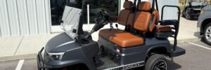 Gray Dach Falcon 2+2