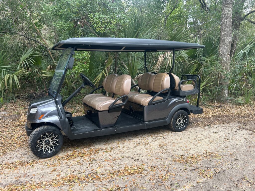 Metallic Midnight Silver Onward