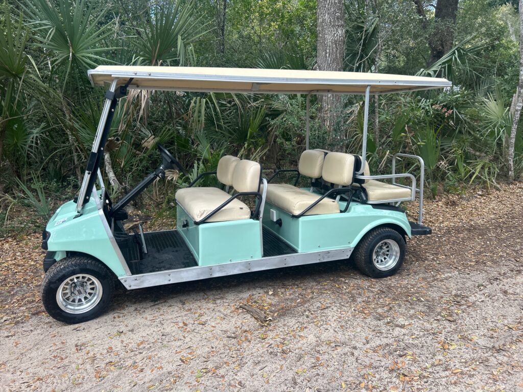 Seafoam Club Car DS