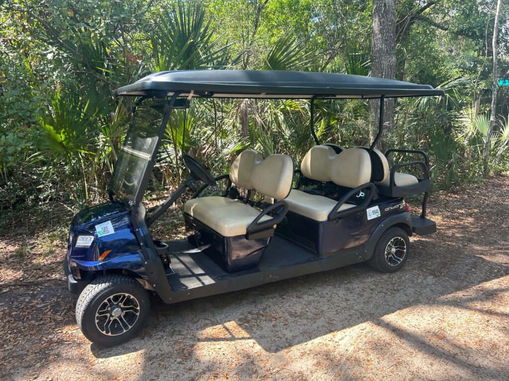 Metallic Blue Onyx Club Car Onward